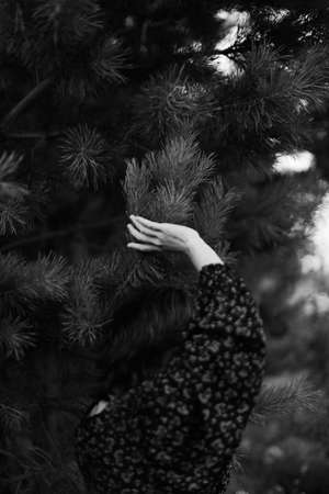 hand and branch of a plant, black and white aesthetics, beautiful blurred soft focusの写真素材