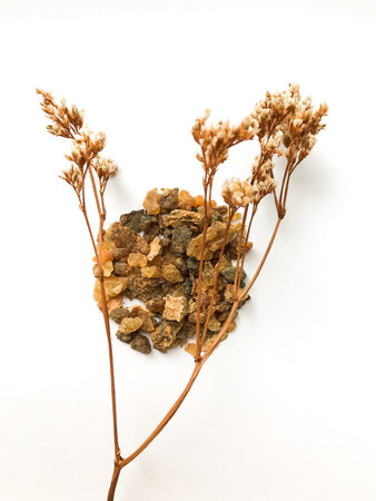 Myrrh is a natural gum or resin extracted from a number of small, thorny tree species of the genus...