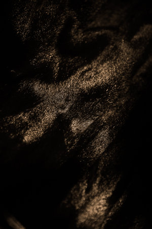mink fur coat close-up, black mink fur close-up, highlights on natural wool