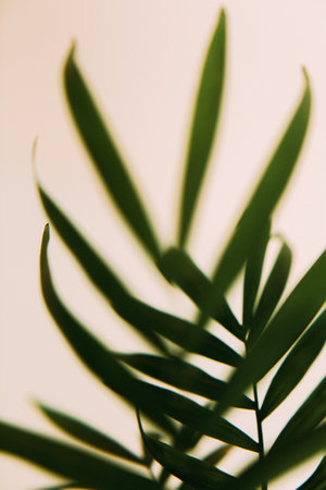 Natural background from green plants, colored textures of nature, soft focus backgroundの写真素材