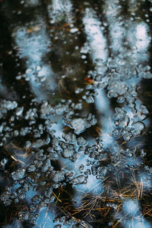 background and texture,abstract and pattern. landscape of trees in a blurの写真素材