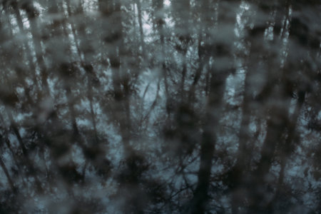 background and texture,abstract and pattern. landscape of trees in a blur