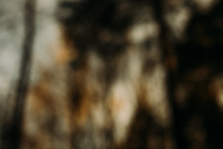 background and texture,abstract and pattern. landscape of trees in a blurの写真素材