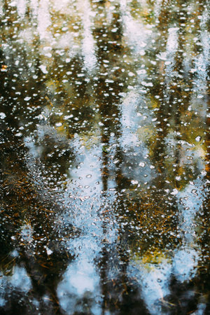 background and texture,abstract and pattern. landscape of trees in a blur