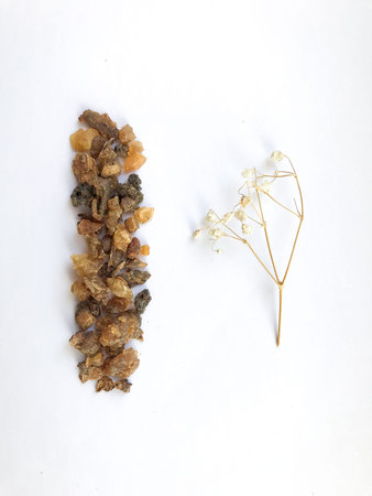 Myrrh tree resin on a white background with a dry gypsophila twig