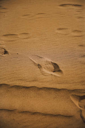 patterns on the sandy beach, beautiful natural backgroundの写真素材