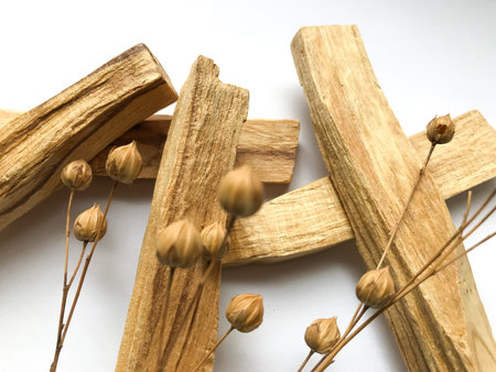 Wooden palo santo sticks, set of natural incense on white background with sprig of flax , place for...