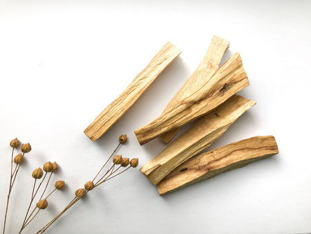 indian incense palo santo, layout of sticks, top view on a white background, blurred film imageの写真素材