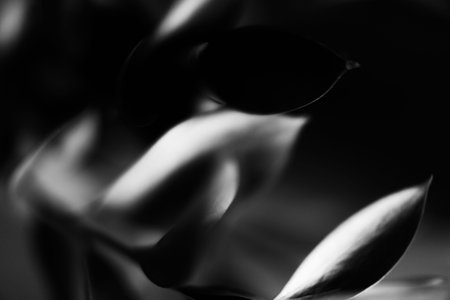 Beautiful abstract black and white flowers on black background