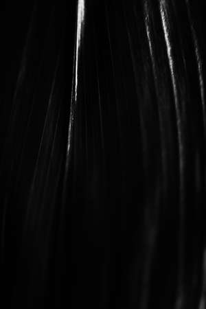 Abstract black and white background. Close-up of a black palm leaf.の写真素材