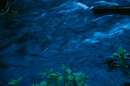 Streaming water in the forest at night. Beautiful nature background.の写真素材