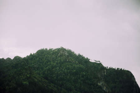 Mountain landscape with green forest and cloudy sky in the background.の写真素材