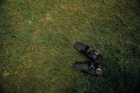 Black leather sandals on green grass. Top view. Copy space.の写真素材