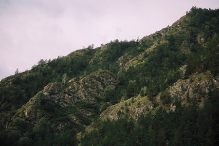 Mountain landscape with green forest and cloudy sky. High quality photo