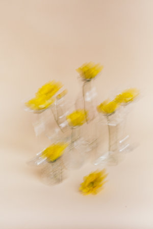 Stylish art background, yellow flowers in glass vases on a beige background. Blur and long shutter speed, the effect of whirling and moving the cameraの写真素材