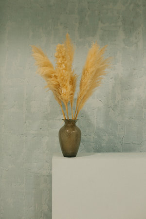 Pampas grass in a vase on a gray background.の写真素材