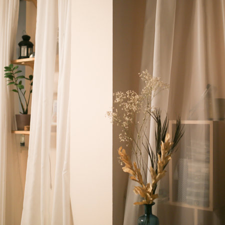 Interior of a modern living room with white curtains and plants.の写真素材