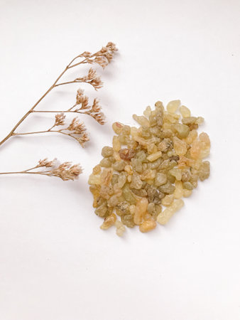 Set of natural resins and twigs of dried flowers , frankincense on white backgroundの写真素材