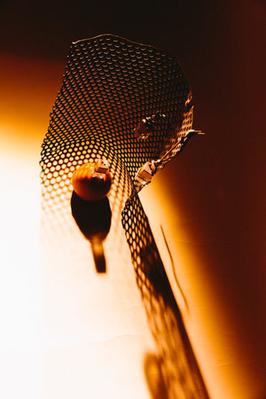 Close-up shot of a mosquito net on a black background.の写真素材