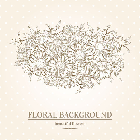 Elegant card with chamomile flowers. Vector floral background.のイラスト素材