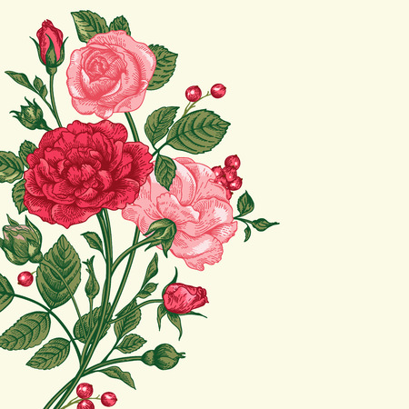 Vintage vector background with a bouquet of roses.のイラスト素材