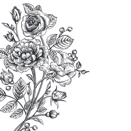 Vintage vector background with a bouquet of roses.のイラスト素材