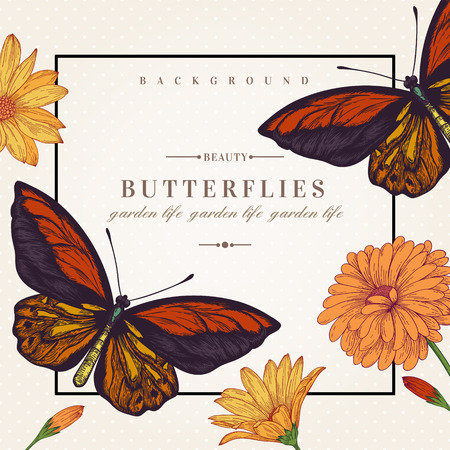 Vector card with butterflies and flowers.のイラスト素材