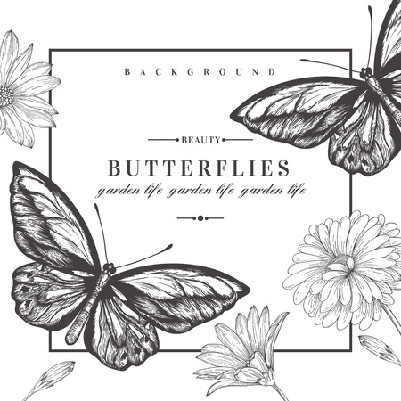Vector card with butterflies and flowers. Black and white illustration.のイラスト素材