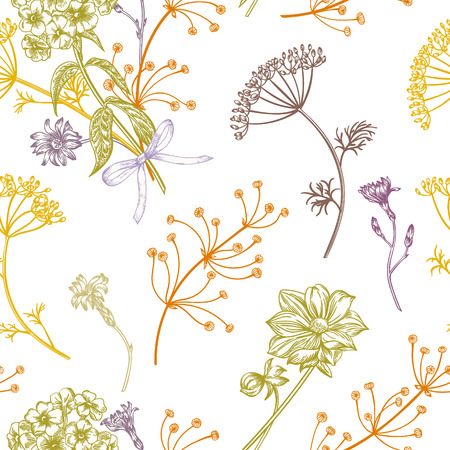 Seamless vintage pattern with herbs, flowers and plants. Herbal background.のイラスト素材