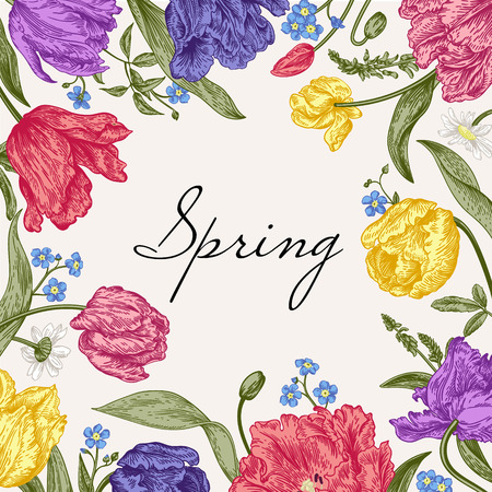 Vector frame with spring flowers. Parrot tulips, me-nots, daisies. Vivid colors.のイラスト素材