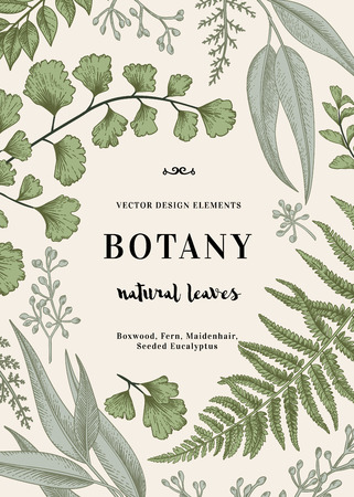 Floral background. Vintage invitation with various leaves. Botanical illustration. Fern, seeded eucalyptus, maidenhair. Engraving style. Design elements.のイラスト素材