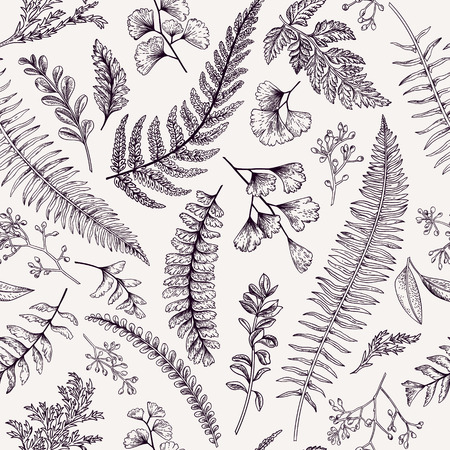 Seamless floral pattern in vintage style. Leaves and herbs. Botanical illustration. Boxwood, seeded eucalyptus, fern, maidenhair.