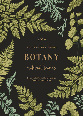 Botanical illustration with leaves on a black background. Boxwood, seeded eucalyptus, fern, maidenhair. Engraving style. Design elements.のイラスト素材