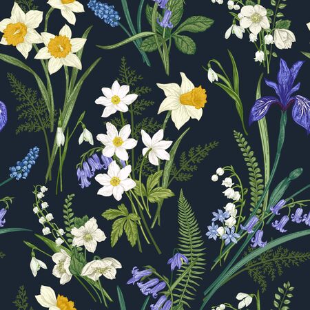Floral seamless pattern on dark background. Spring and summer flowers. Vector botanical illustration.のイラスト素材