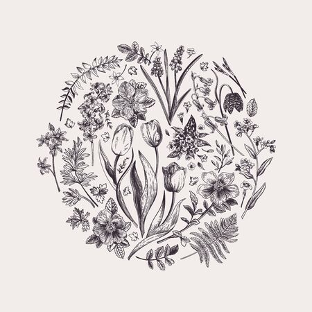 Round floral composition with garden flowers. Botanical illustration. Black and white.のイラスト素材