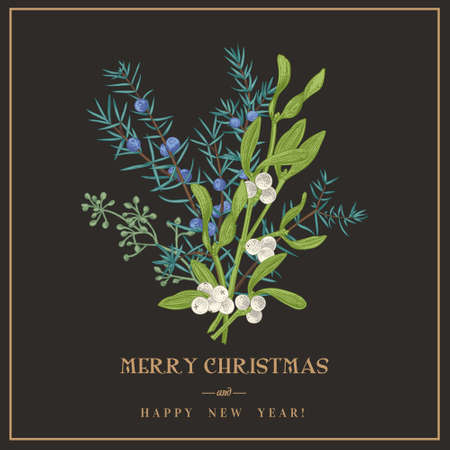 Herbal bouquet with winter plants. vintage botanical illustration. Vector Christmas arrangements with mistletoe, rocky juniper, eucalyptus seeds. Black background.のイラスト素材