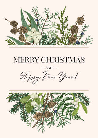 Vintage card with evergreen conifers, larch cones, white berries, eucalyptus seeds. Botanical vector illustration. colorful.のイラスト素材