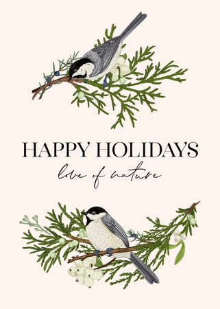 Two birds on a branch. Christmas greeting card.のイラスト素材