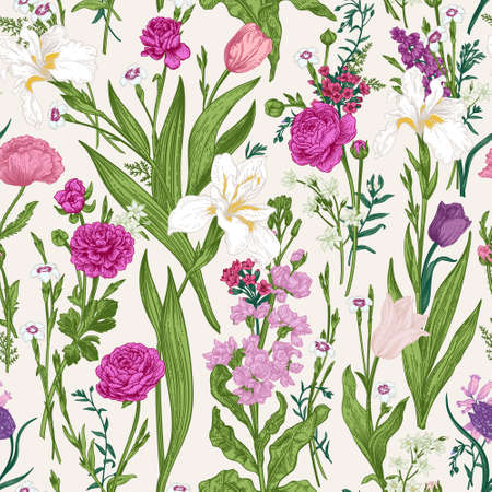 Floral seamless pattern with summer and spring plants. Vector botanical illustration. Pink garden flowers.のイラスト素材