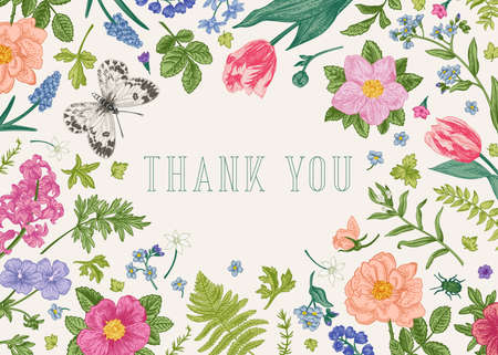 Thank you card with butterfly, bug and flowers. little garden. vector botanical illustration.のイラスト素材