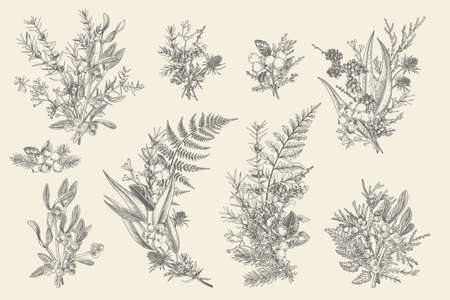 Natural forest bouquets for decoration. Floral arrangements. Evergreens, conifers, berries, leaves, thorns, cones. Vector vintage illustration. Black and white.の写真素材