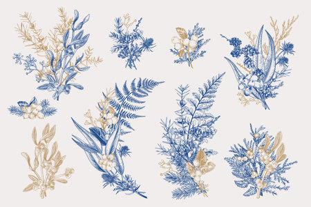 Winter set. Botanical vector illustration. Floristic bouquets. Blue and gold.の写真素材