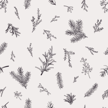 Simple botanical seamless pattern with evergreens. winter background. vector illustration. black and white.のイラスト素材