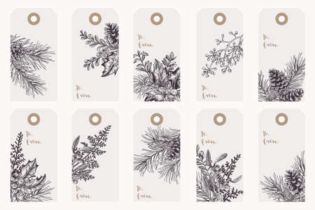 Gift Christmas tags with traditional winter plants. Pine, holly, mistletoe, boxwood, fern. Vector botanical illustration. black and white.のイラスト素材