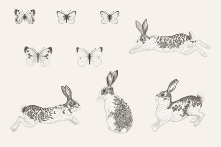 Set with rabbits and butterflies. Vector design elements of animals and insects.のイラスト素材