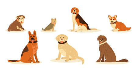 Set cute happy dog breed. German Shepherd, Golden Retrieve, Beagle, Yorkshire Terrier, Pembroke Corgi, English Bulldog, Portuguese aquatic dog. Vector flat cartoon illustration.のイラスト素材