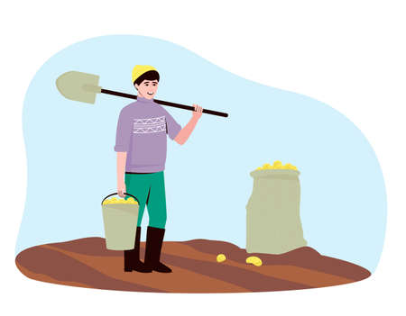 A farmer harvests potato tubers in the field. There are potatoes in the bucket and bag. A man stands with a shovel and a bucket of potatoes. Flat vector illustration.のイラスト素材