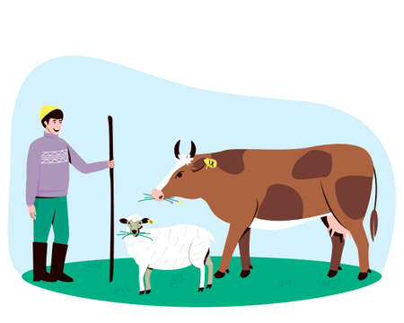 A shepherd leads a cow and a sheep to the pasture. The cow and the sheep chews the grass. Big horned cattle. In the summertime, pets are walked in a field with lush grass. Flat vector illustration.のイラスト素材