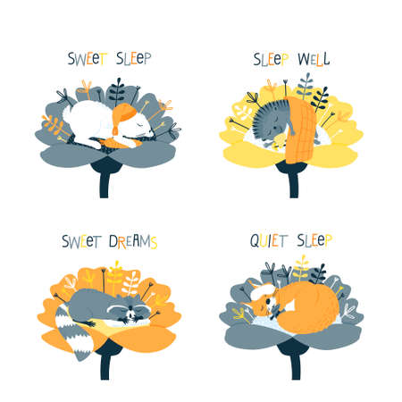 Set of sleeping animals. Raccoon on the pillow. Squirrel with nuts in a sleep mask. Hare with a carrot in a nightcap. Hedgehog with mushrooms under the covers. Flat vector illustration.のイラスト素材