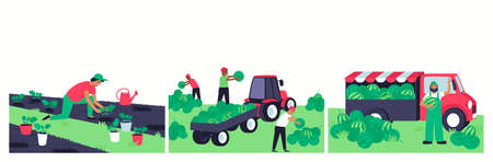 Set for planting, collecting and selling watermelons. Men harvest in a tractor cart. A farmer sells watermelons from a truck. The farmer is planting sprouts. Flat vector illustration.

のイラスト素材